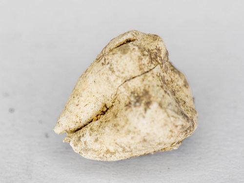PB270116
